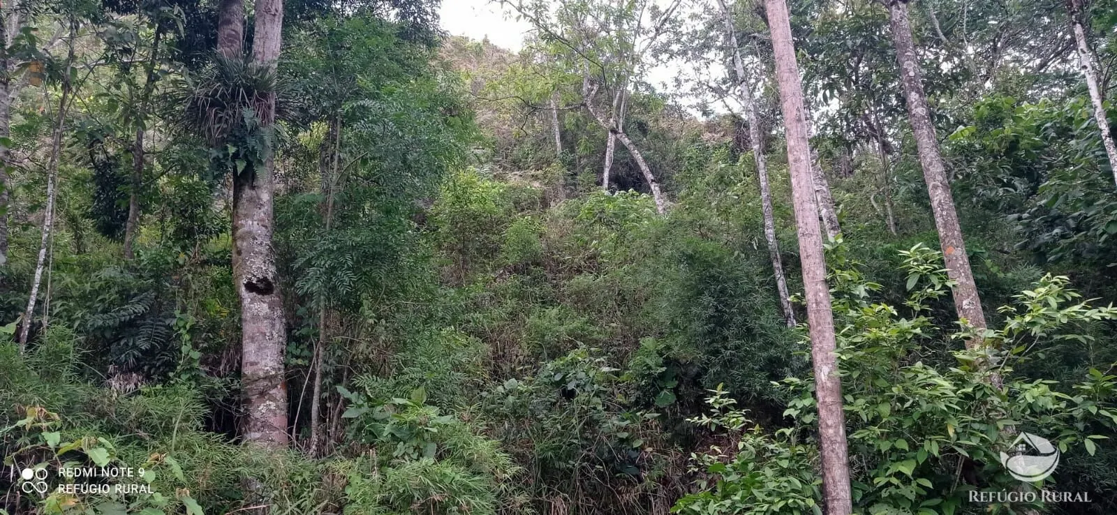 Sítio à venda de 14 ha em Monteiro Lobato, SP, Brasil