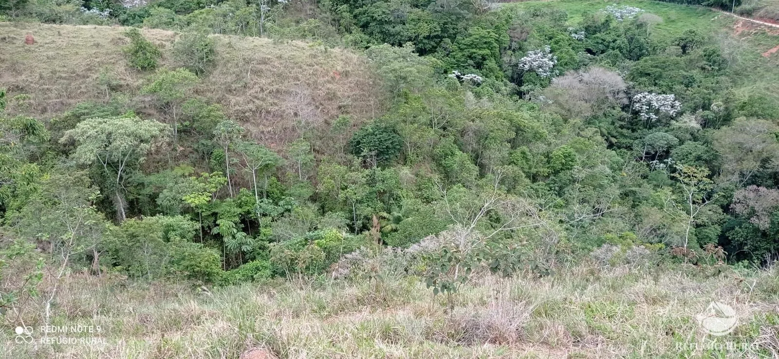 Sítio à venda de 14 ha em Monteiro Lobato, SP, Brasil