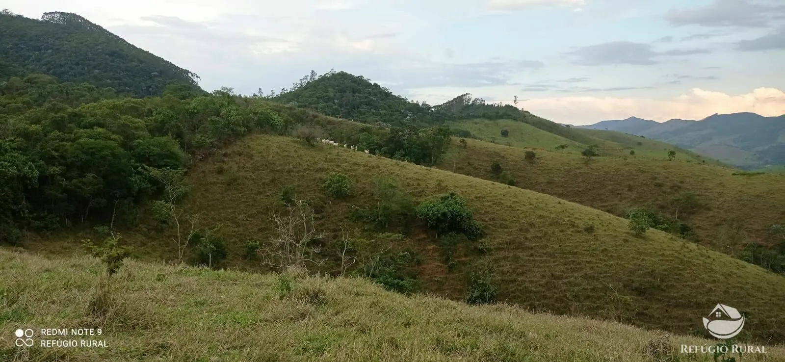 Sítio à venda de 14 ha em Monteiro Lobato, SP, Brasil