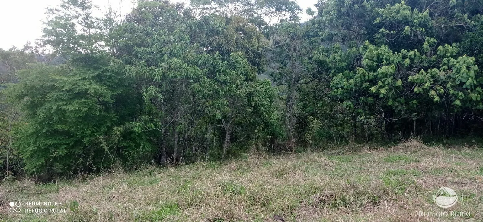 Sítio à venda de 14 ha em Monteiro Lobato, SP, Brasil