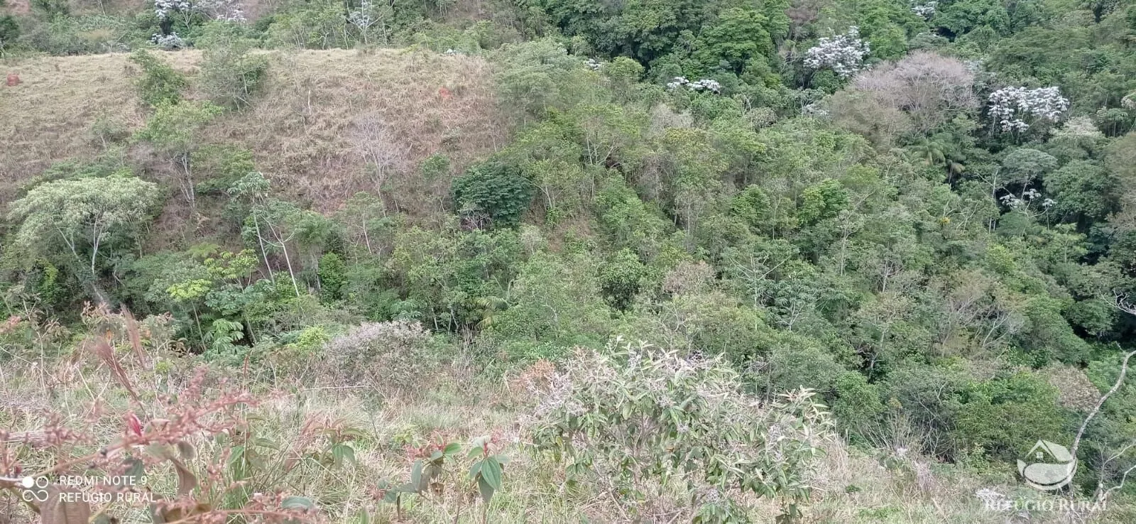 Sítio à venda de 14 ha em Monteiro Lobato, SP, Brasil