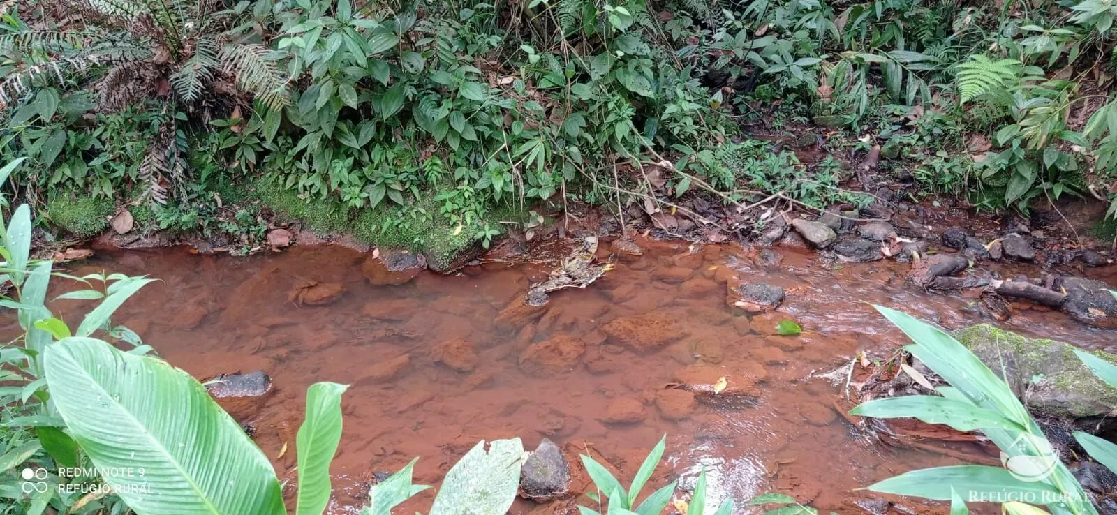 Sítio à venda de 14 ha em Monteiro Lobato, SP, Brasil