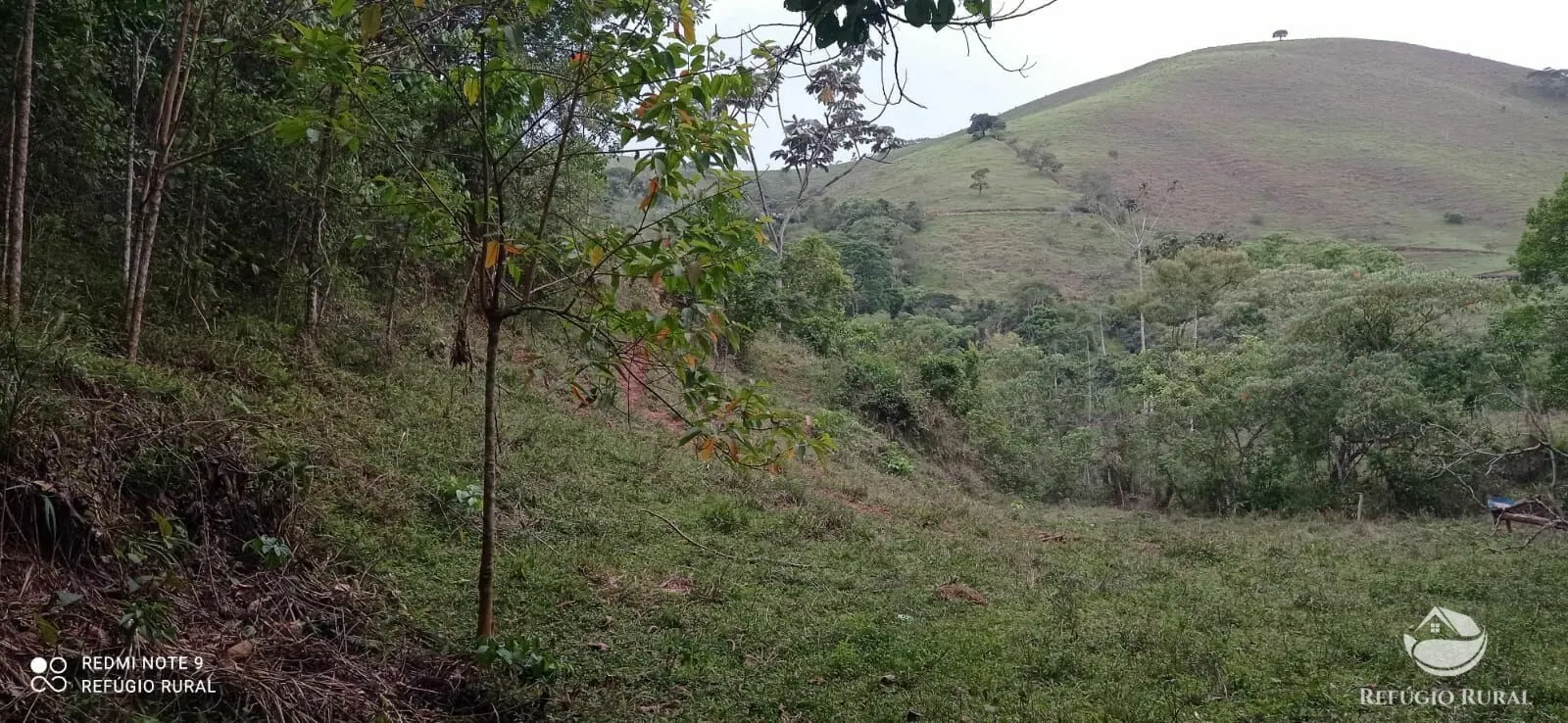 Sítio à venda de 14 ha em Monteiro Lobato, SP, Brasil