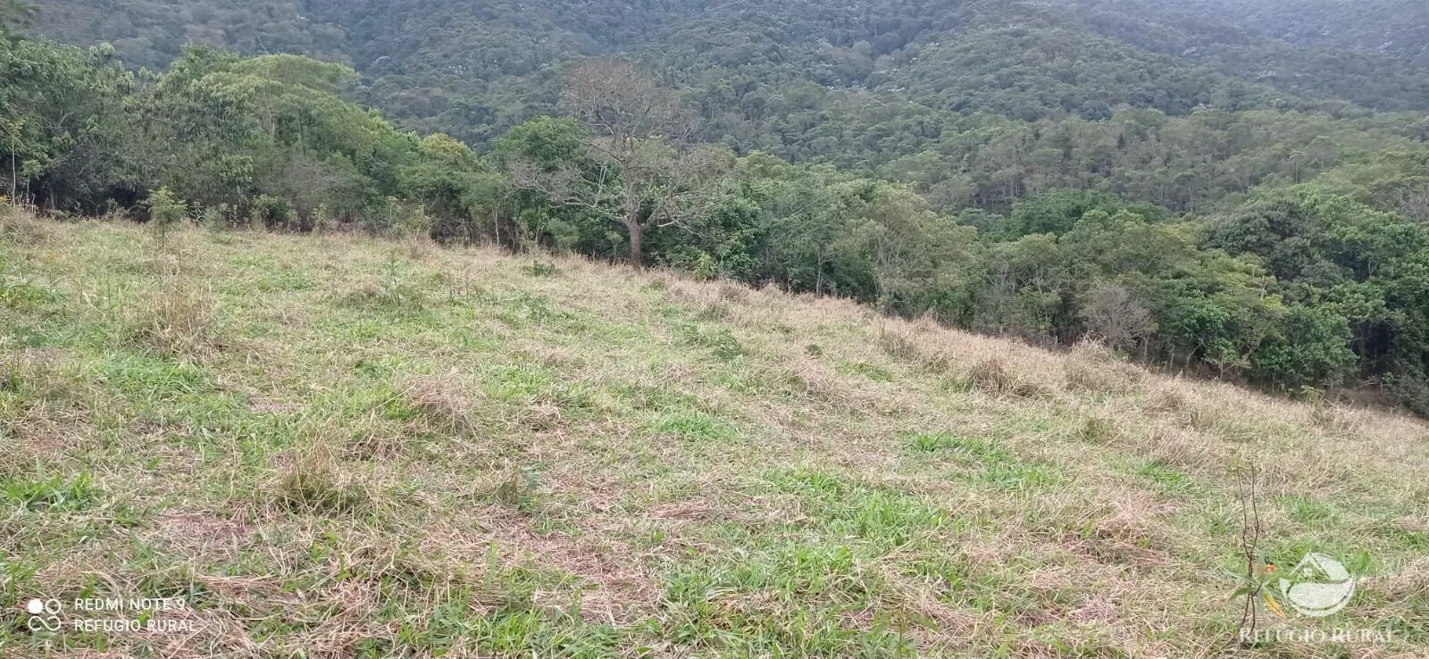 Sítio à venda de 14 ha em Monteiro Lobato, SP, Brasil