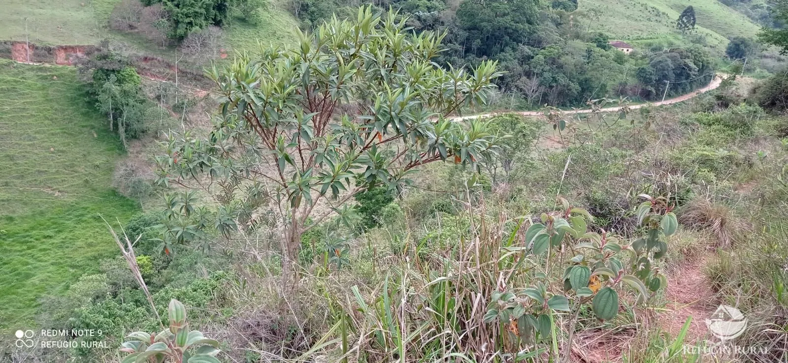 Sítio à venda de 14 ha em Monteiro Lobato, SP, Brasil