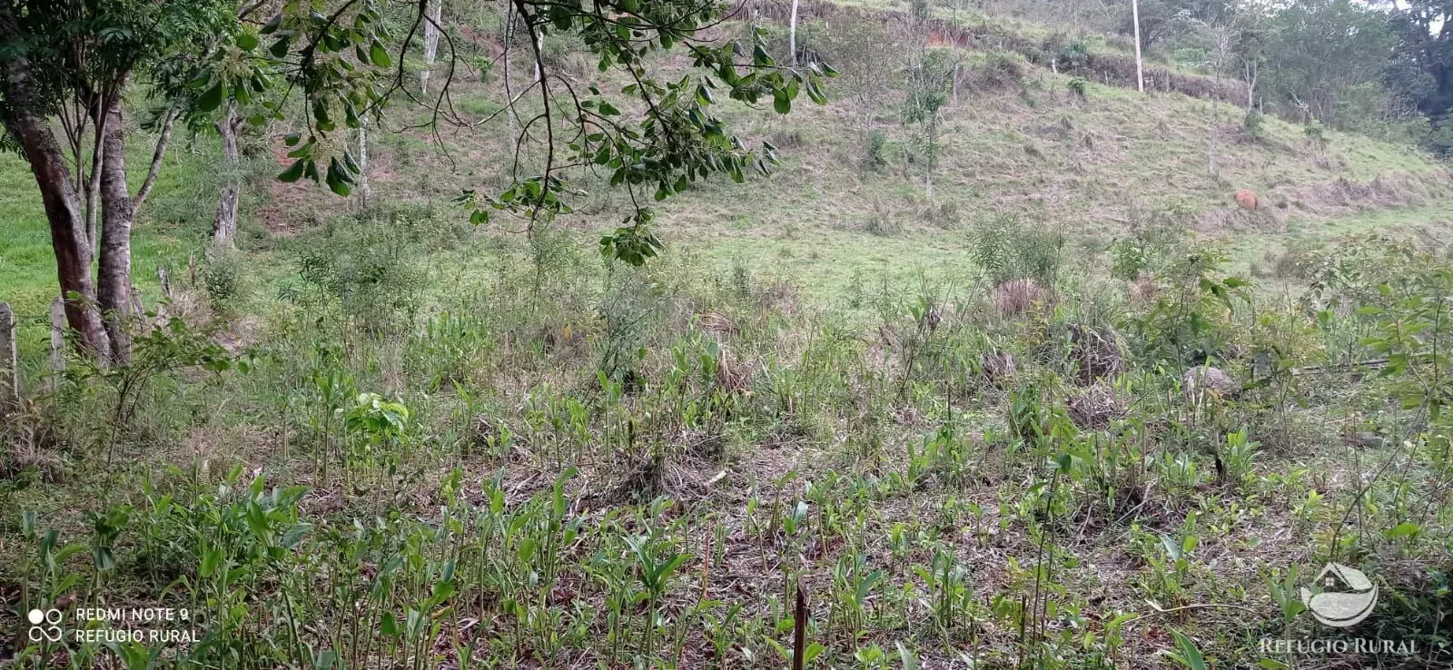 Sítio à venda de 14 ha em Monteiro Lobato, SP, Brasil