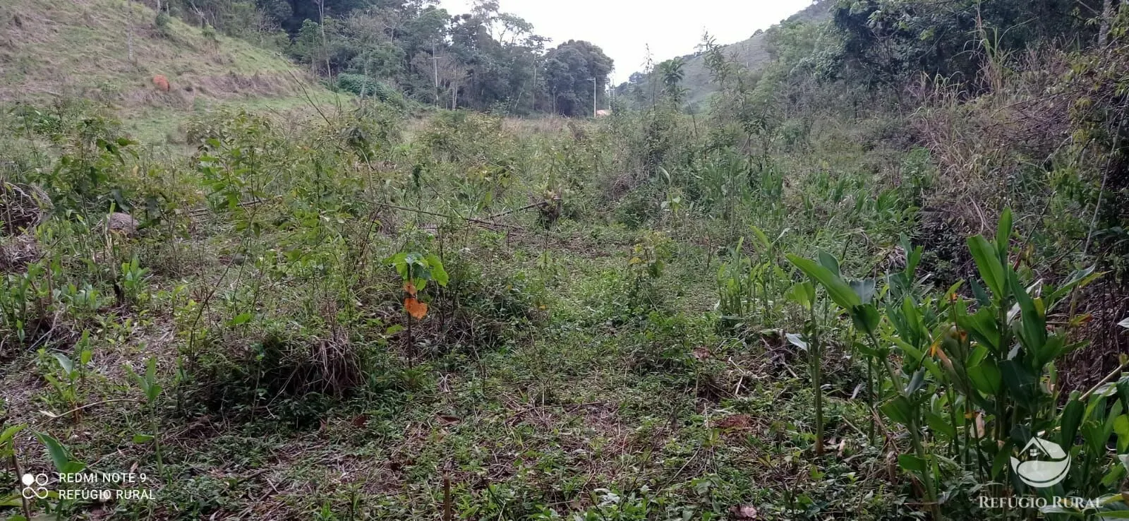Sítio à venda de 14 ha em Monteiro Lobato, SP, Brasil