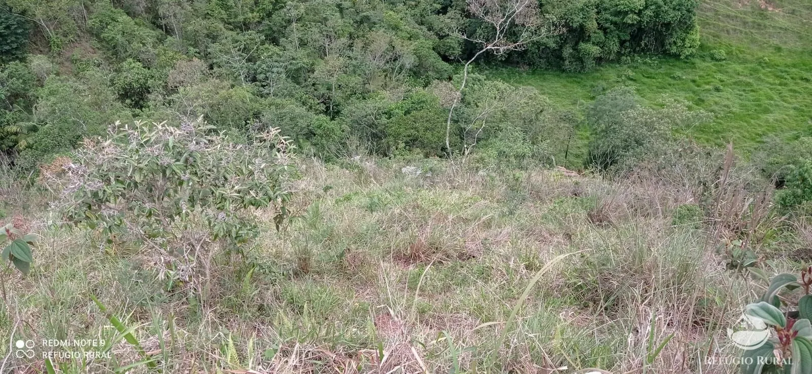 Sítio à venda de 14 ha em Monteiro Lobato, SP, Brasil