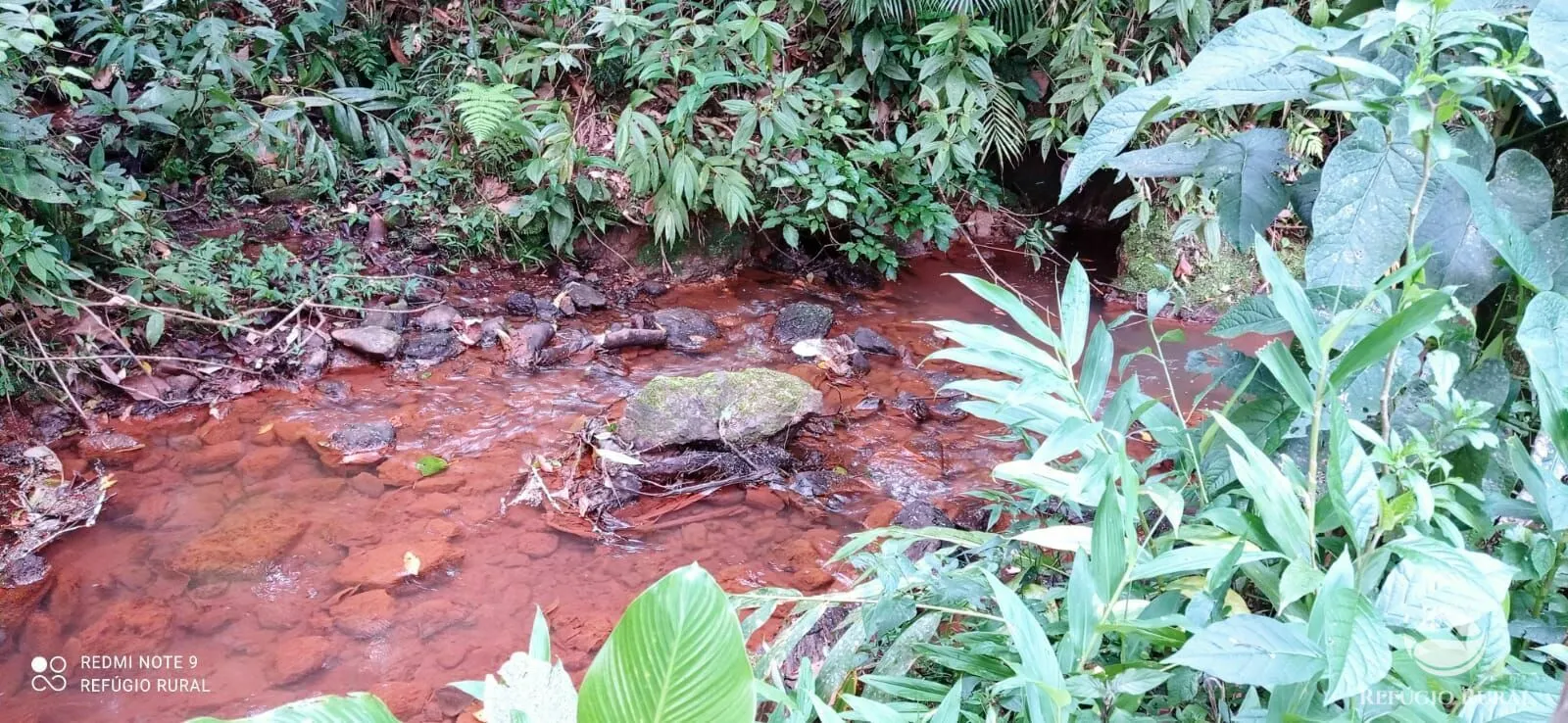 Sítio à venda de 14 ha em Monteiro Lobato, SP, Brasil
