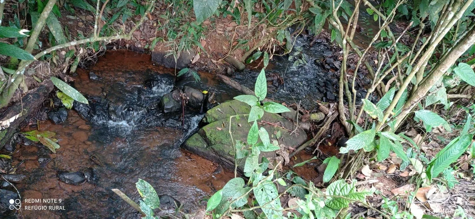 Sítio à venda de 14 ha em Monteiro Lobato, SP, Brasil