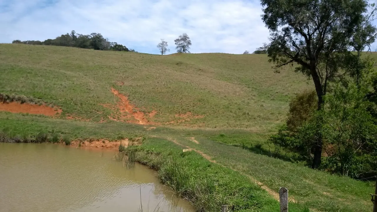 Sítio à venda e para Arrendar de 77 ha em Ribeirão Branco, SP, Brasil