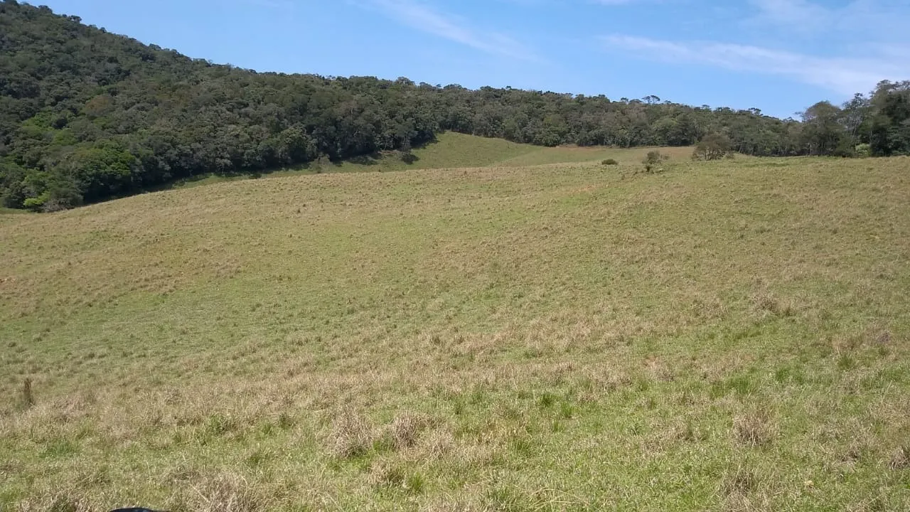 Sítio à venda e para Arrendar de 77 ha em Ribeirão Branco, SP, Brasil