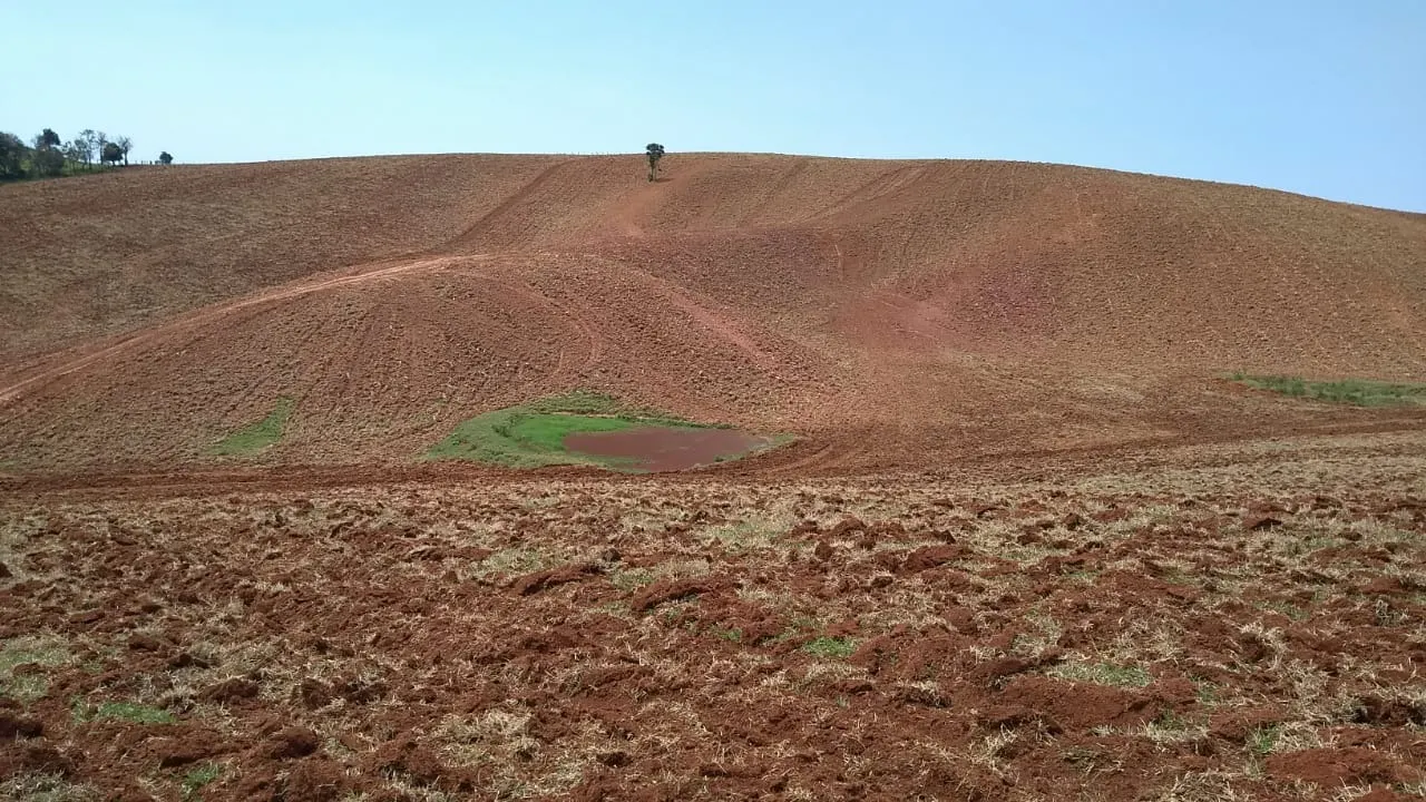 Sítio à venda e para Arrendar de 77 ha em Ribeirão Branco, SP, Brasil