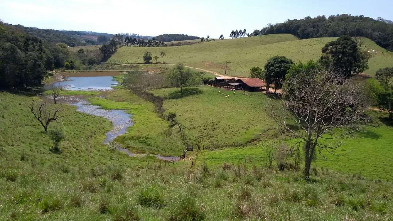 Sítio à venda e para Arrendar de 77 ha em Ribeirão Branco, SP, Brasil