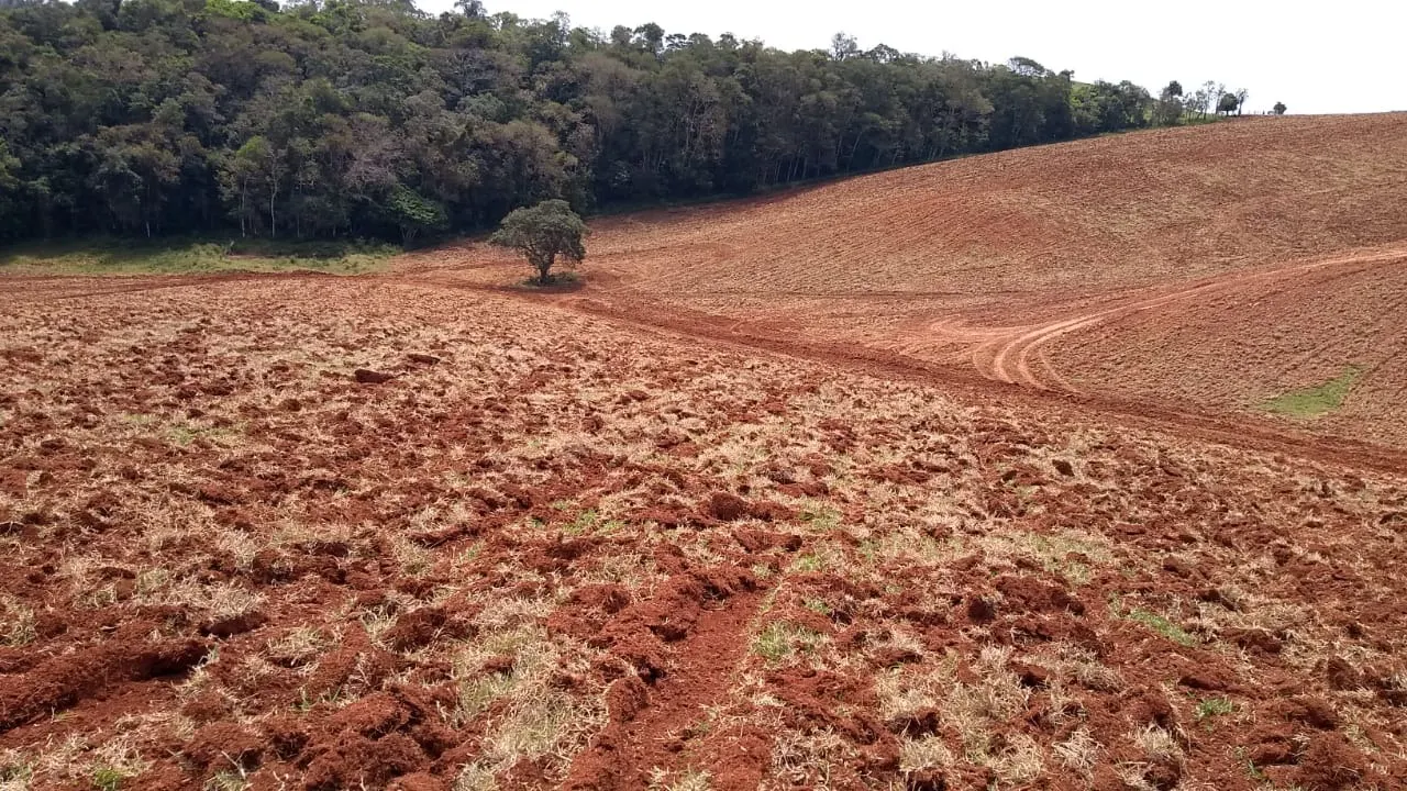 Sítio à venda e para Arrendar de 77 ha em Ribeirão Branco, SP, Brasil