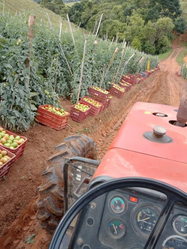 Sítio à venda e para Arrendar de 77 ha em Ribeirão Branco, SP, Brasil