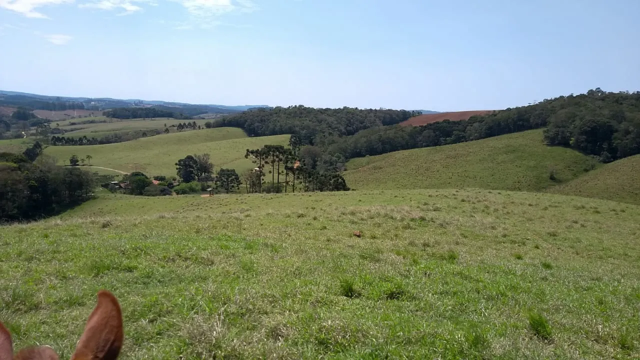 Sítio à venda e para Arrendar de 77 ha em Ribeirão Branco, SP, Brasil