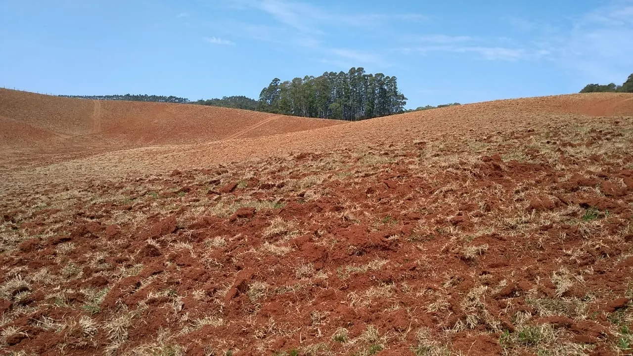 Sítio à venda e para Arrendar de 77 ha em Ribeirão Branco, SP, Brasil