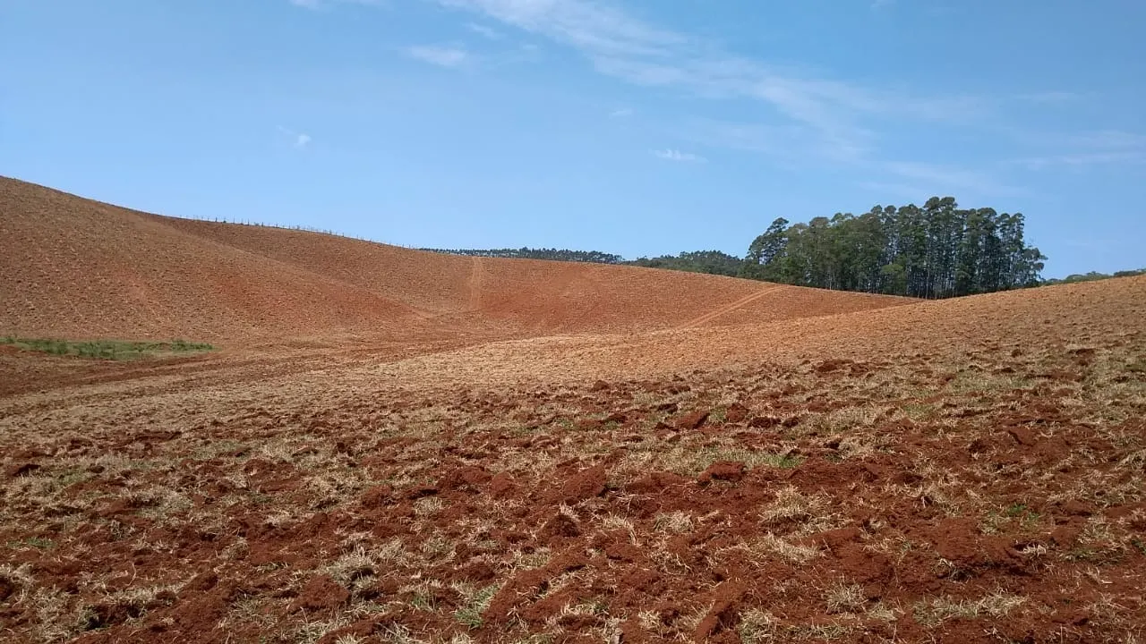 Sítio à venda e para Arrendar de 77 ha em Ribeirão Branco, SP, Brasil