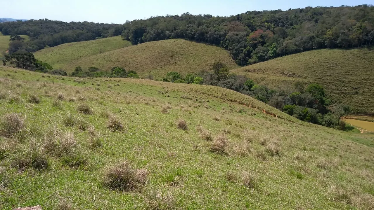 Sítio à venda e para Arrendar de 77 ha em Ribeirão Branco, SP, Brasil