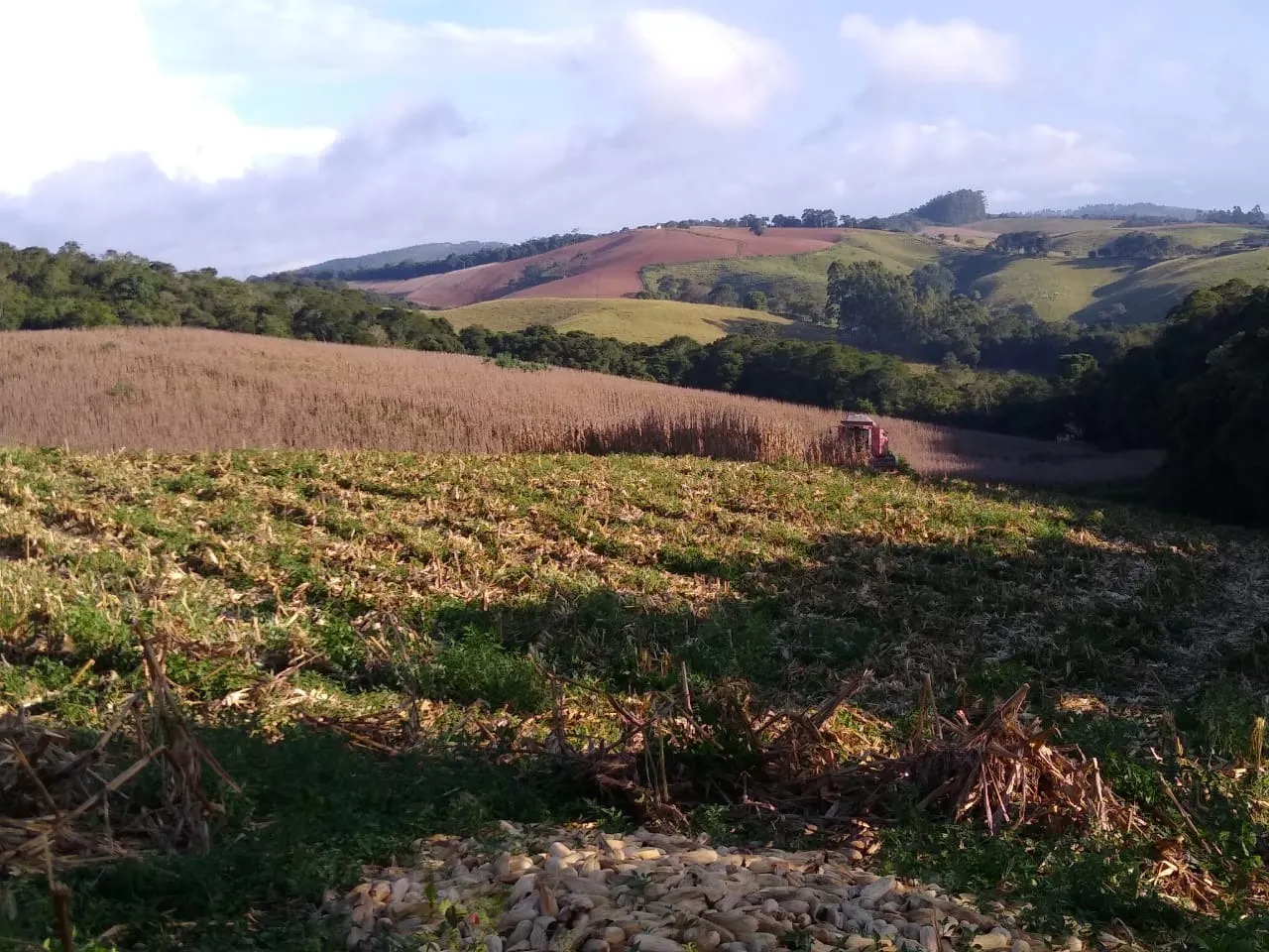 Sítio à venda e para Arrendar de 77 ha em Ribeirão Branco, SP, Brasil