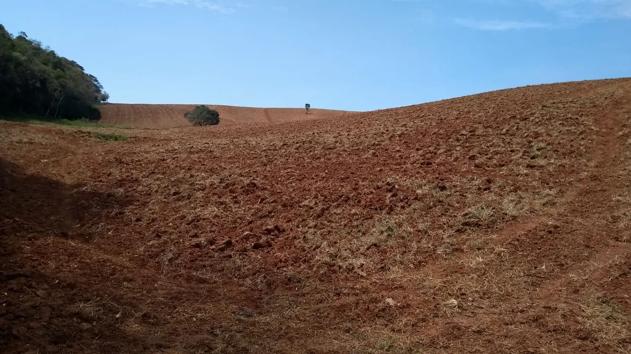 Sítio à venda e para Arrendar de 77 ha em Ribeirão Branco, SP, Brasil