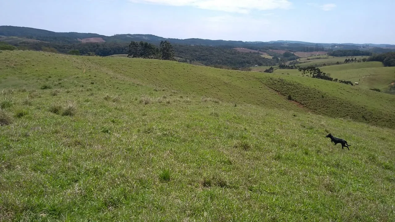 Sítio à venda e para Arrendar de 77 ha em Ribeirão Branco, SP, Brasil