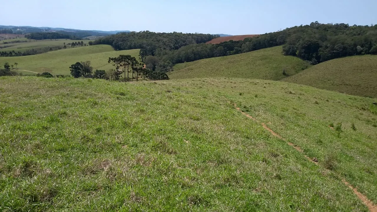 Sítio à venda e para Arrendar de 77 ha em Ribeirão Branco, SP, Brasil