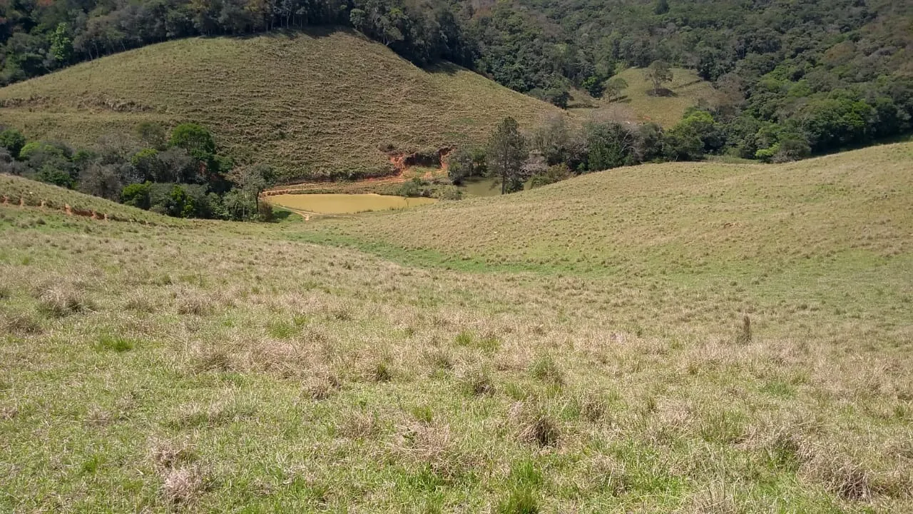 Sítio à venda e para Arrendar de 77 ha em Ribeirão Branco, SP, Brasil