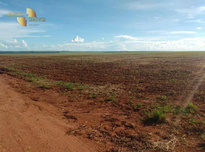 Fazenda à venda de 3.200 ha em Diamantino, MT, Brasil