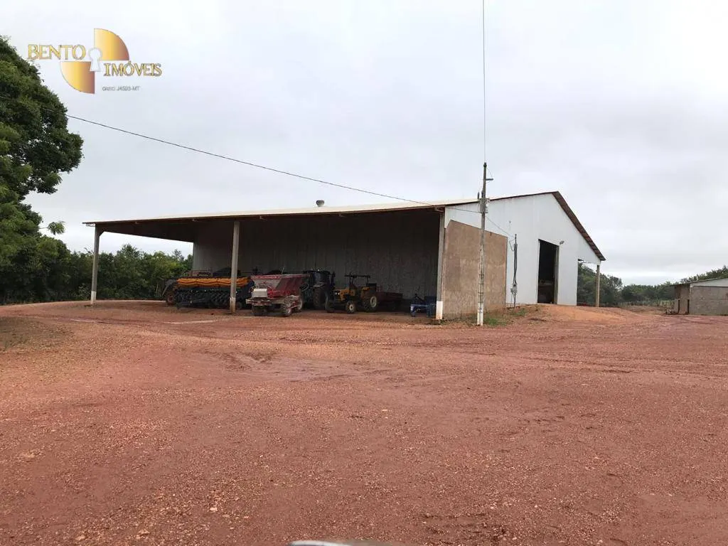 Fazenda à venda de 3.200 ha em Diamantino, MT, Brasil