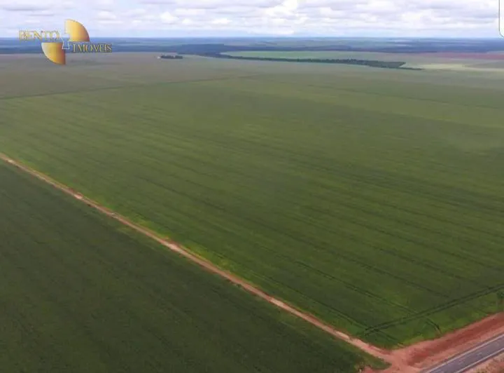 Fazenda à venda de 3.200 ha em Diamantino, MT, Brasil