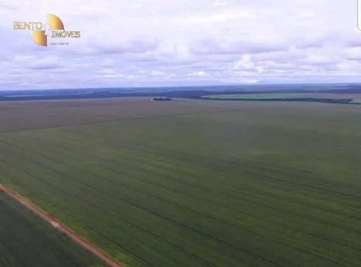 Fazenda à venda de 3.200 ha em Diamantino, MT, Brasil