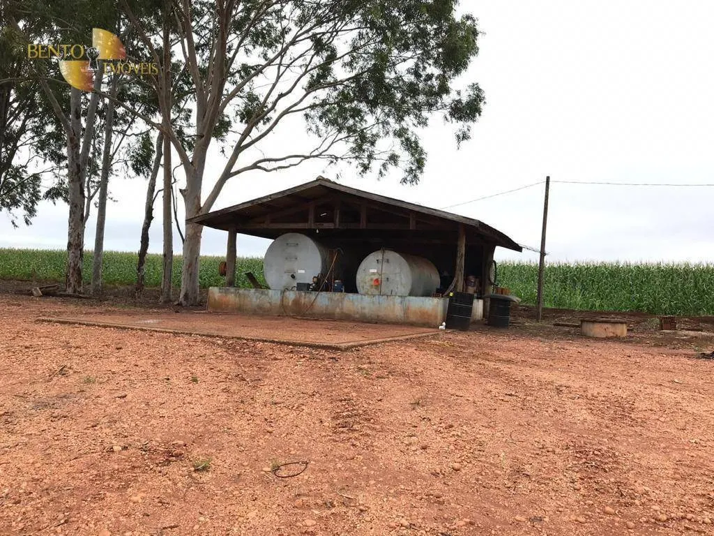 Fazenda à venda de 3.200 ha em Diamantino, MT, Brasil