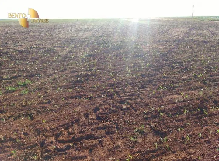 Fazenda à venda de 3.200 ha em Diamantino, MT, Brasil