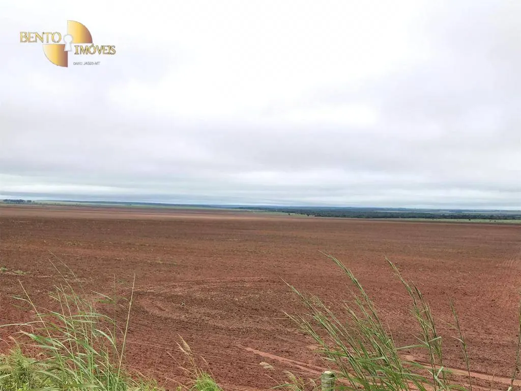 Fazenda à venda de 3.200 ha em Diamantino, MT, Brasil