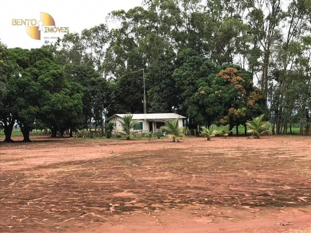 Fazenda à venda de 3.200 ha em Diamantino, MT, Brasil
