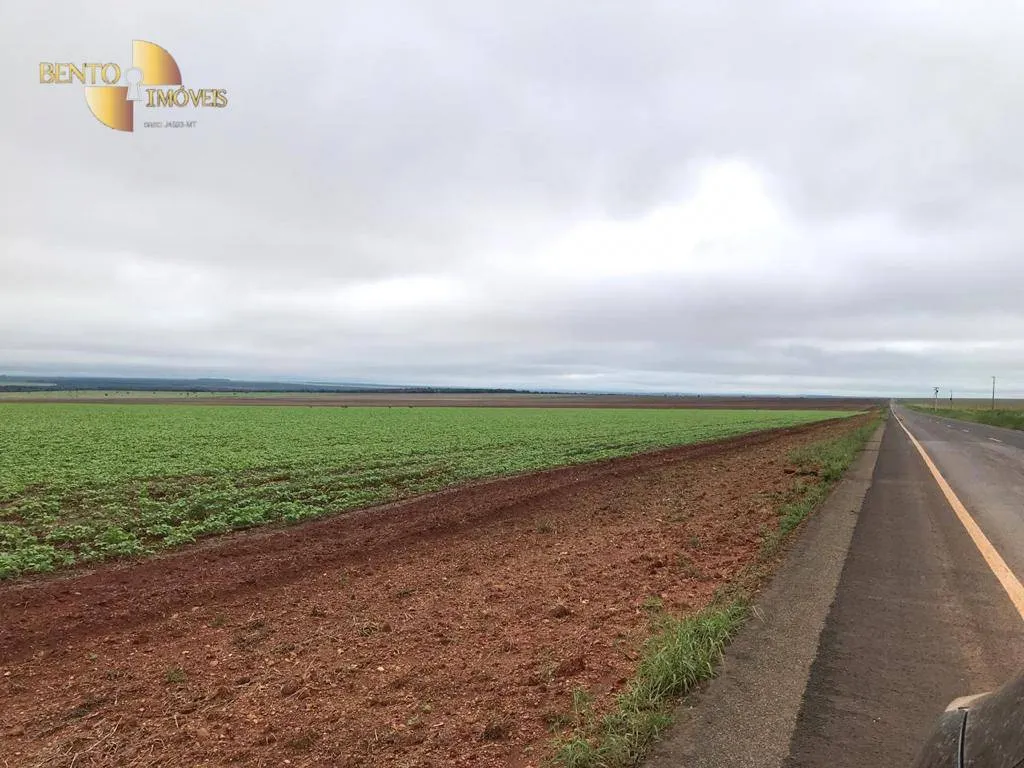 Fazenda à venda de 3.200 ha em Diamantino, MT, Brasil