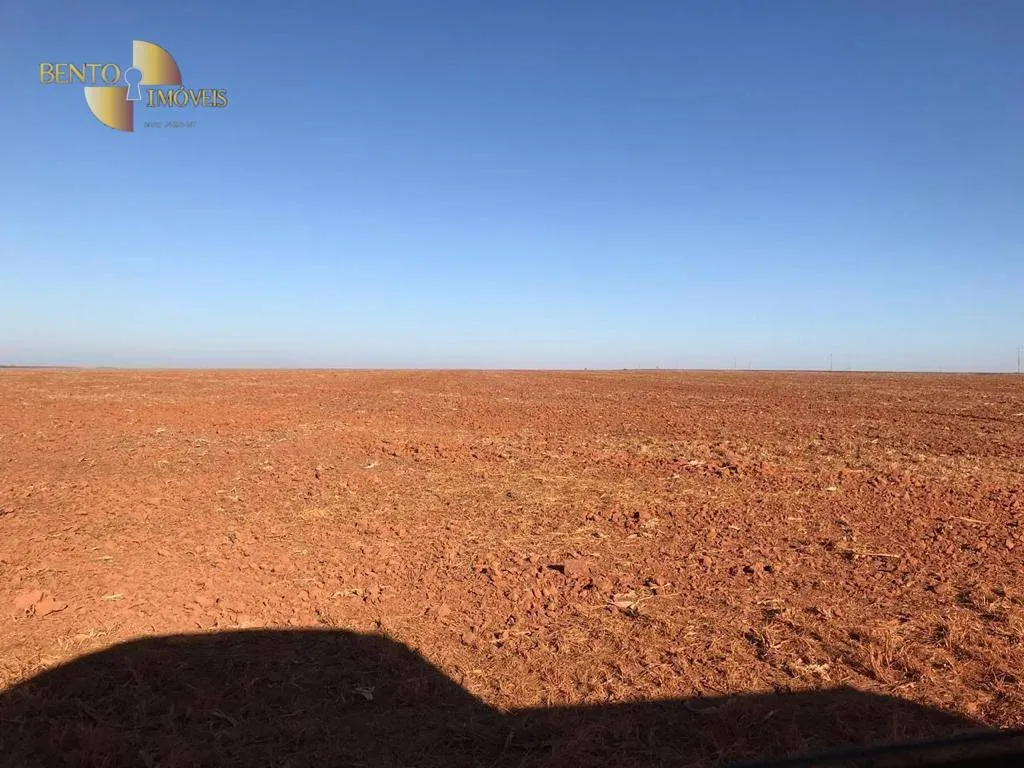 Fazenda à venda de 3.200 ha em Diamantino, MT, Brasil
