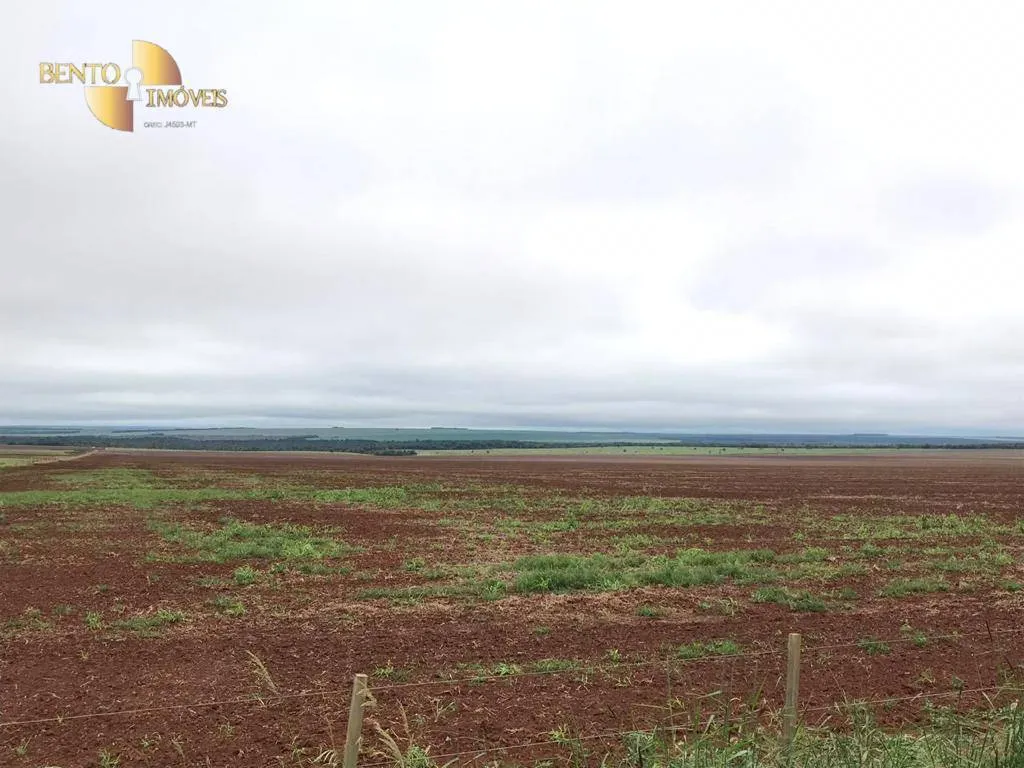 Fazenda à venda de 3.200 ha em Diamantino, MT, Brasil