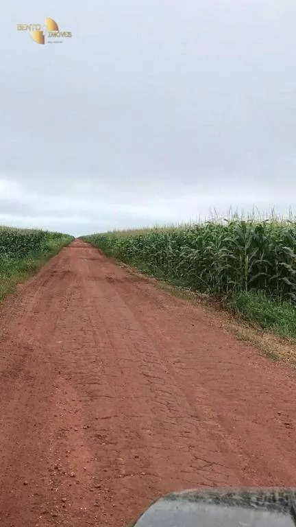 Fazenda à venda de 3.200 ha em Diamantino, MT, Brasil