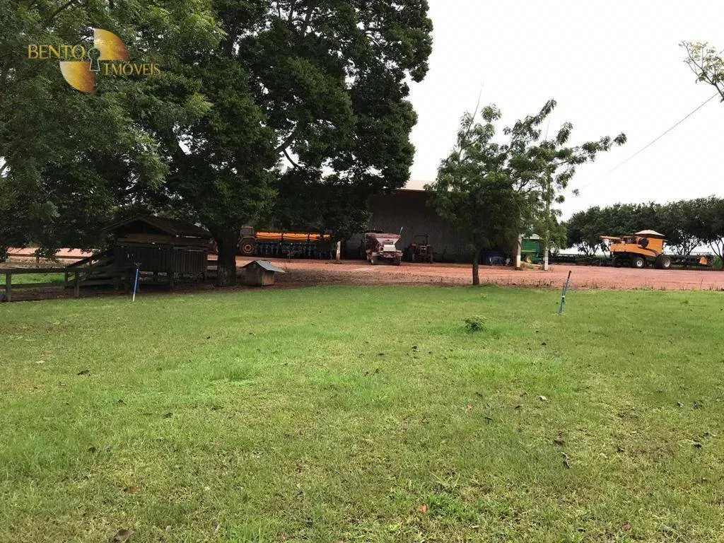 Fazenda à venda de 3.200 ha em Diamantino, MT, Brasil
