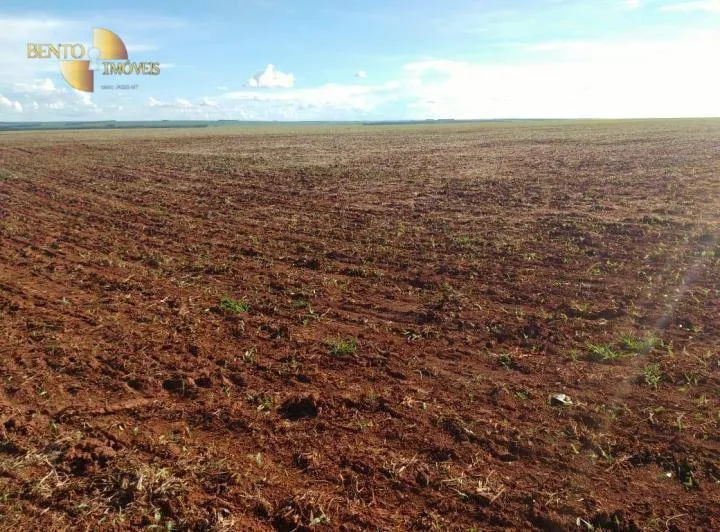 Fazenda à venda de 3.200 ha em Diamantino, MT, Brasil