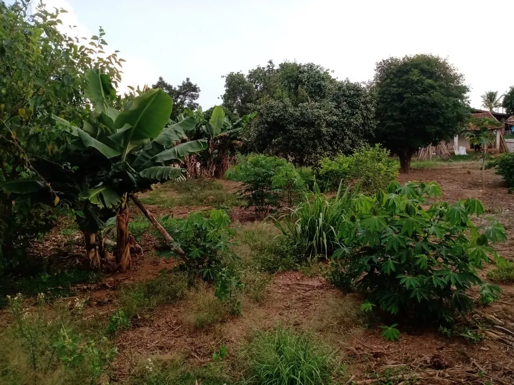 Chácara à venda de 3.000 m² em Angatuba, SP, Brasil