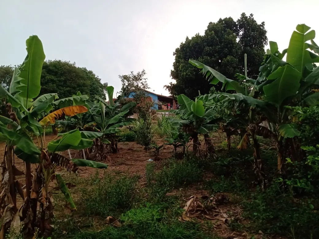 Chácara à venda de 3.000 m² em Angatuba, SP, Brasil