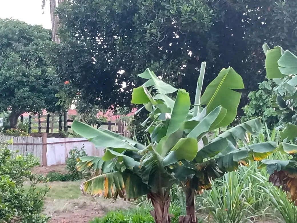 Chácara à venda de 3.000 m² em Angatuba, SP, Brasil