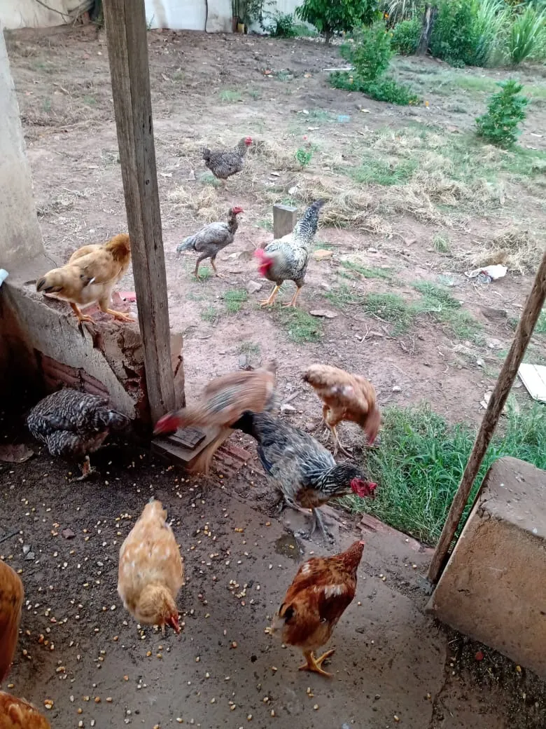 Chácara à venda de 3.000 m² em Angatuba, SP, Brasil