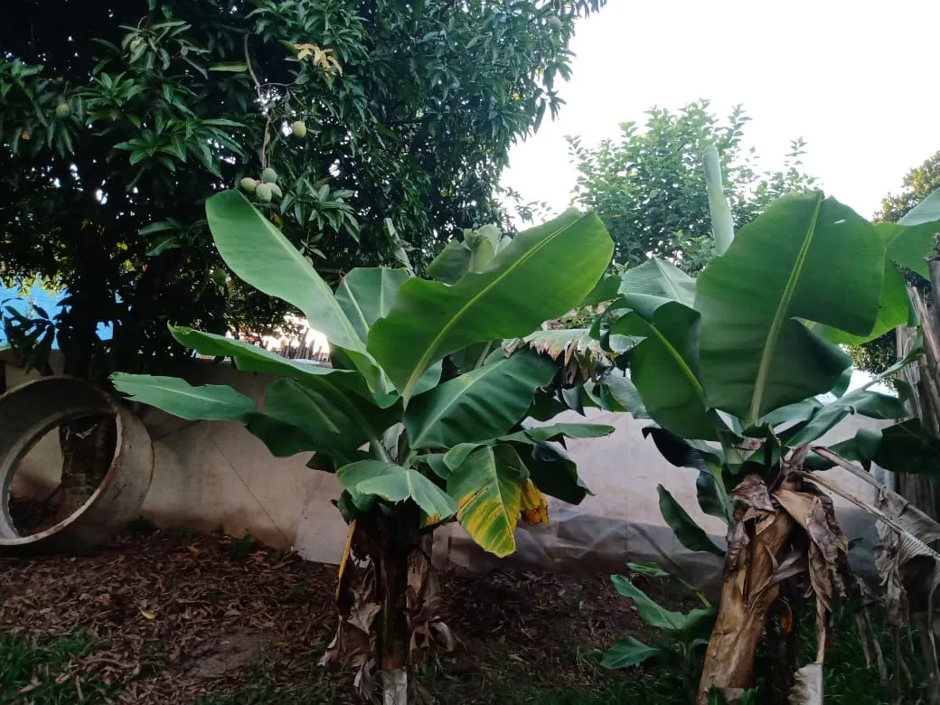 Chácara à venda de 3.000 m² em Angatuba, SP, Brasil