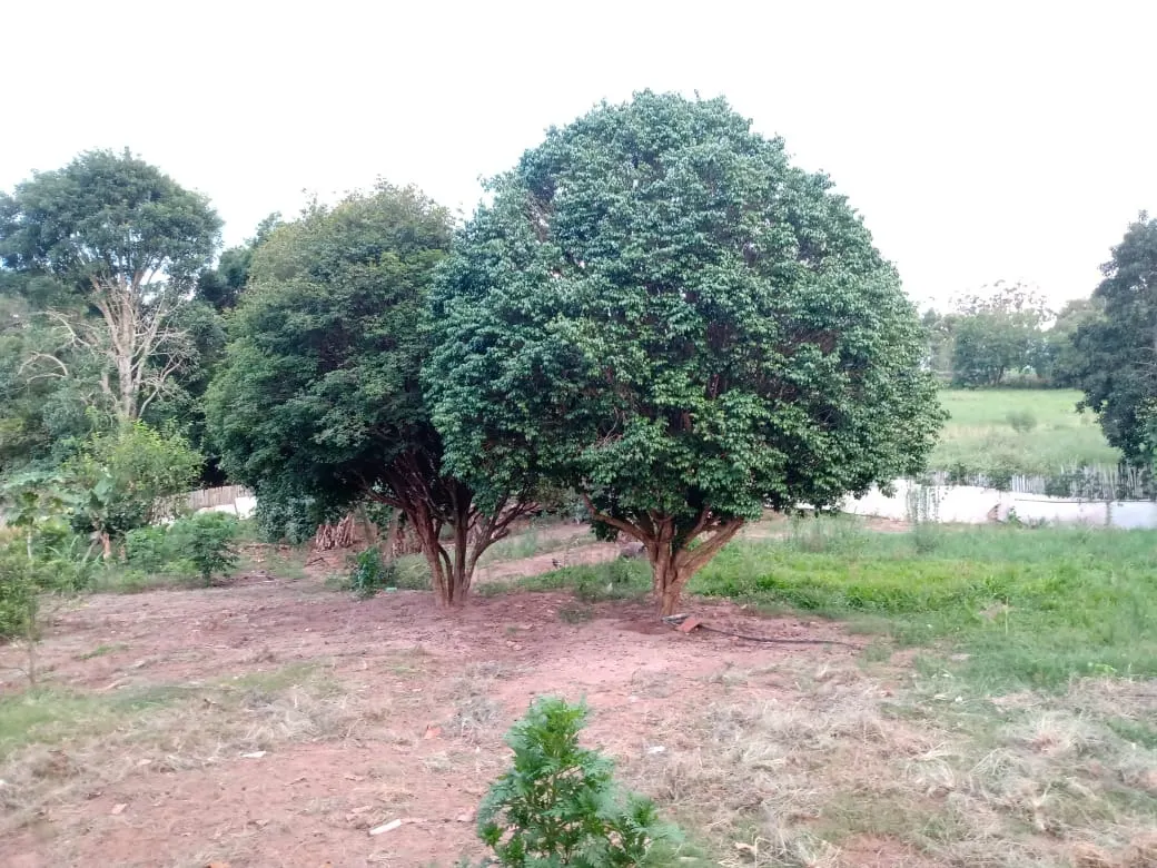 Chácara à venda de 3.000 m² em Angatuba, SP, Brasil