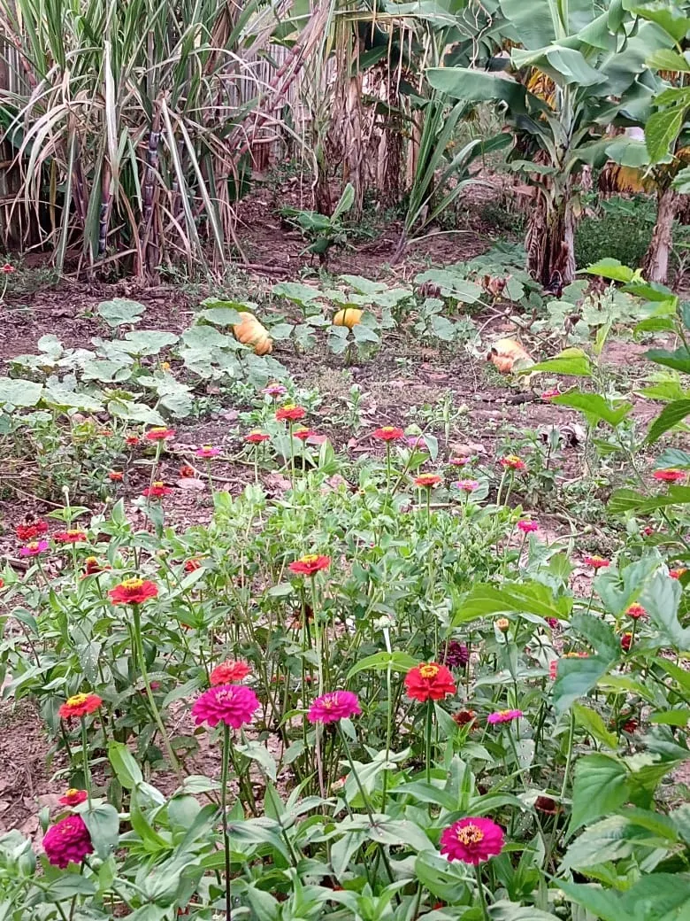 Chácara à venda de 3.000 m² em Angatuba, SP, Brasil